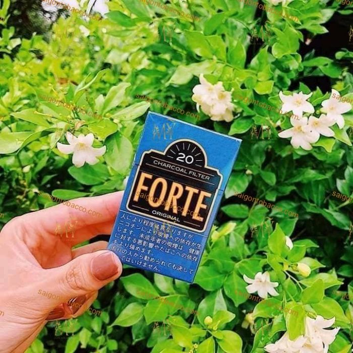 Thuốc lá Forte Menthol + Forte Light + Forte Original - Hình ảnh 7