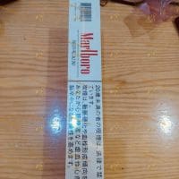 z3543375218216_1a1efedadb23f8676eff0feecefee532 (1)