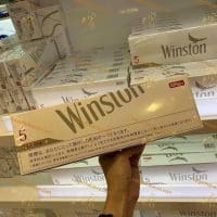 Winston Caster 5 BOX ( Hộp Cứng )