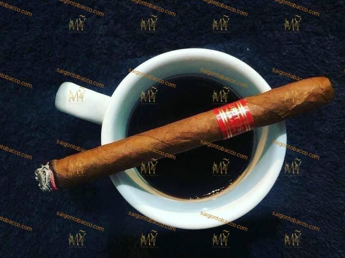 Xì gà Partagas Puritos hộp 5 điếu - Hình ảnh 4