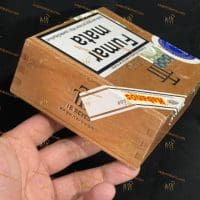 Xì gà TRINIDAD REYES BOX 12