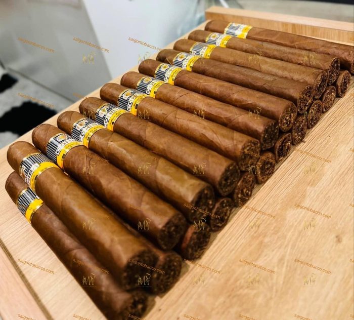 Xì gà Cohiba Siglo 6 (VI) (Điếu Lẻ Hàng Chợ Đen Cuba) - Hình ảnh 8