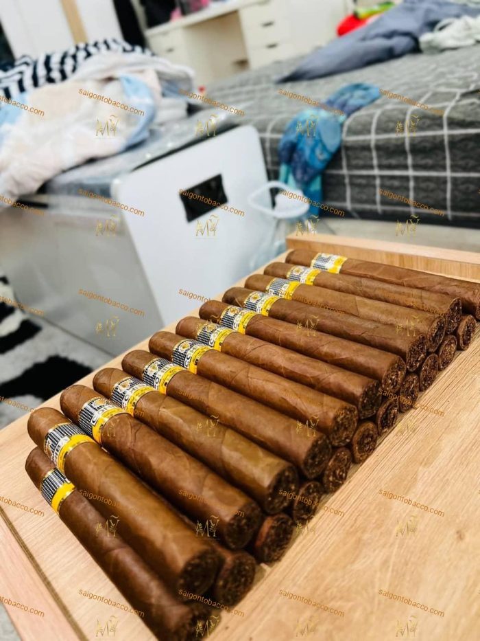 Xì gà Cohiba Siglo 6 (VI) (Điếu Lẻ Hàng Chợ Đen Cuba) - Hình ảnh 6