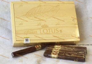 Xì Gà Cigar Lotus S 26 Điếu