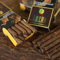 Cigar-Lotus-Club-min