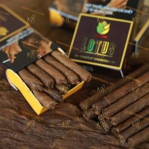 Xì Gà Cigar Lotus Clup