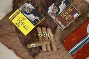 Xì Gà Cigar Lotus No1
