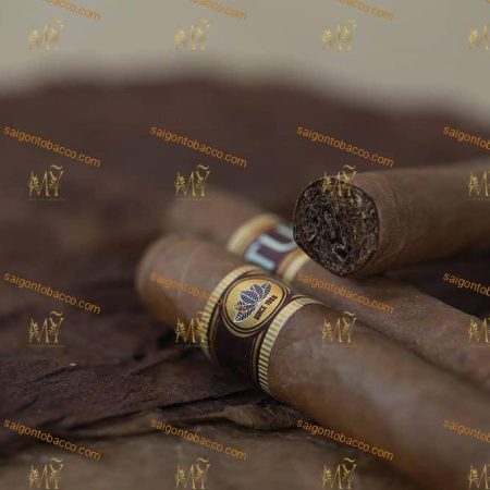 Hình ảnh thứ hai củaXì Gà Cigar Lotus No1