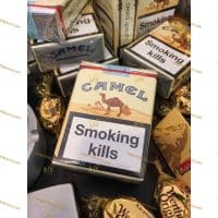 Camel-Non-Filter-1