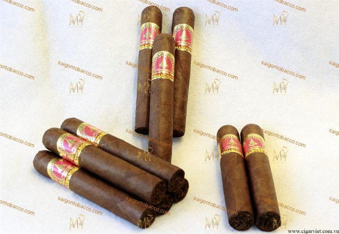 Xì Gà Cigar Vinaboss Montesco 55