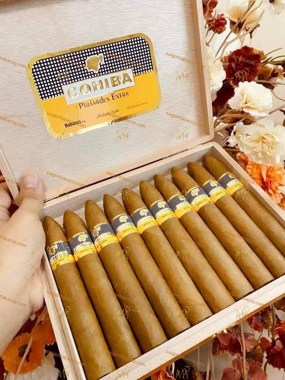 Xì gà Cohiba Piramides Extra