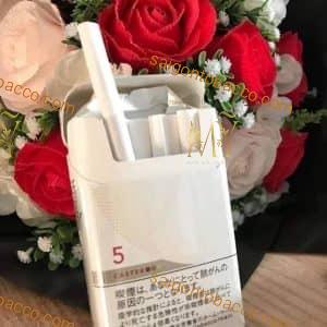 Winston Caster 5 BOX ( Hộp Cứng )