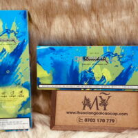 Thuốc lá Dunhill Mellow Crush (Est-1907 Tobacco Of London LTD)